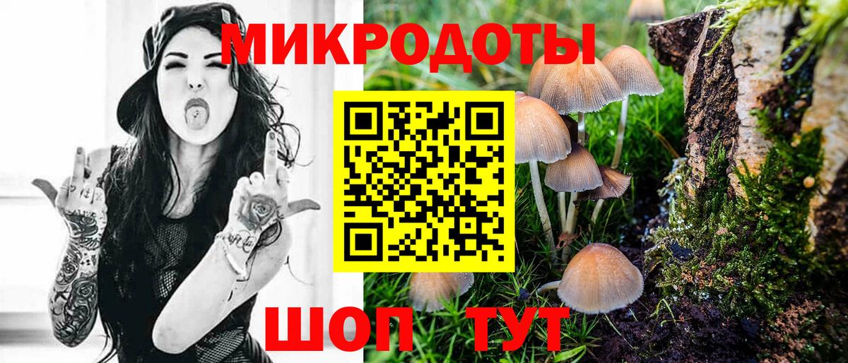 Галлюциногенные грибы мицелий Белогорск