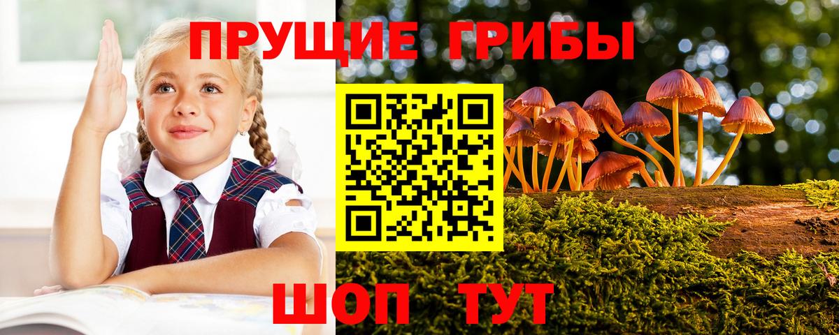 Галлюциногенные грибы прущие грибы  как найти   Вход с VPN  Белогорск  Псилоцибиновые грибы мухоморы 